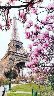 Фреска Париж весной - Fabriory