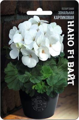 Пеларгонии (Герань) Агрофирма Аэлита Цветы - купить по выгодным ценам в  интернет-магазине OZON (1125108393)