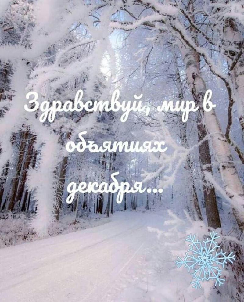 С первым днем зимы 2020 - картинки, стихи, смс, поздравления в прозе |  OBOZ.UA