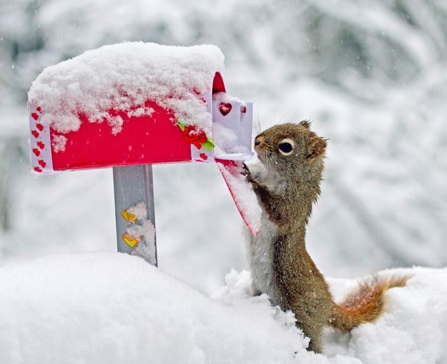 С первым днем зимы - поздравления и открытки с 1 декабря — УНИАН