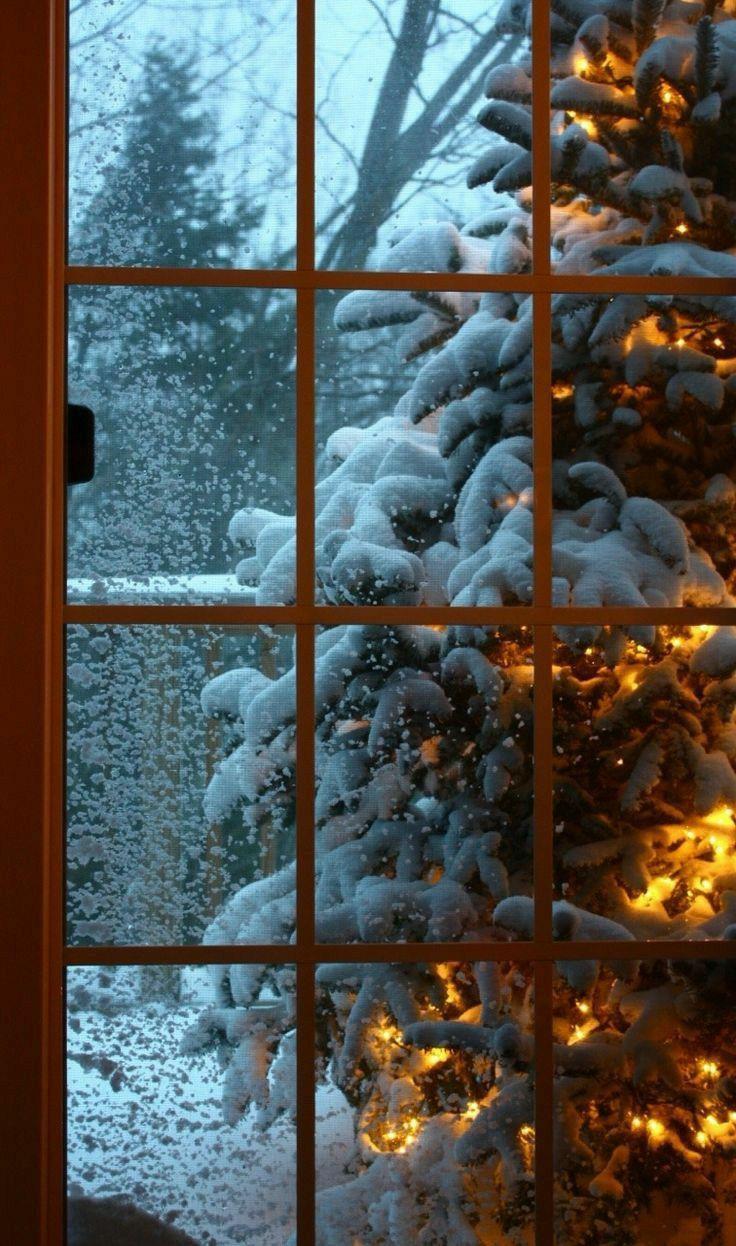 Зима, снег, ёлка, wall, заставки, обои, фон, winter, snow | Картинки снега,  Рождественские пейзажи, Зимние сцены