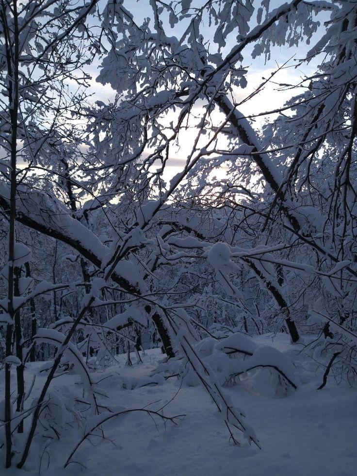Снег зима природа - 72 фото