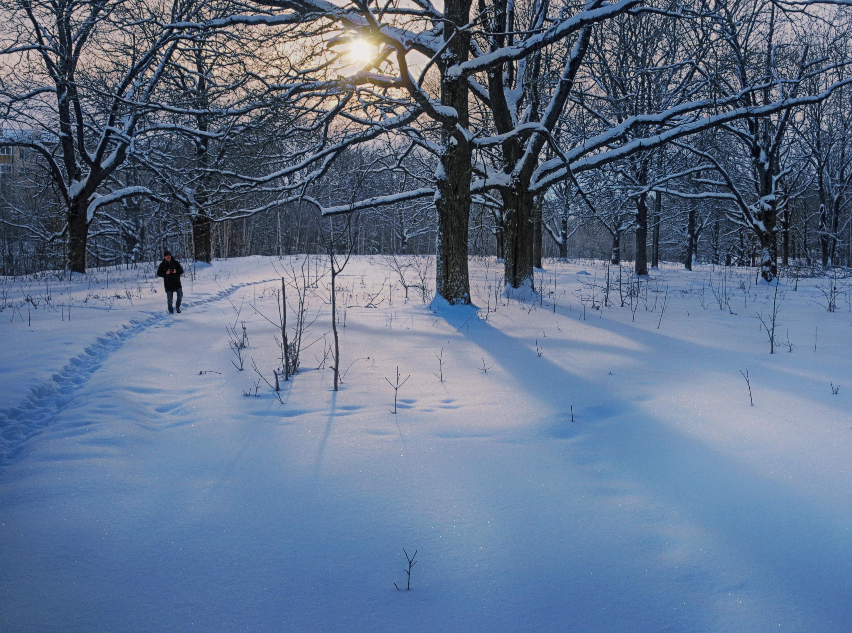 Зима Снег | Пейзажи, Живописные пейзажи, Зимние картинки