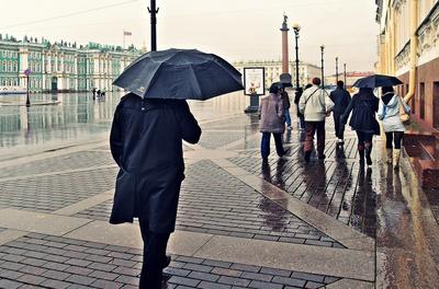 Дождливый Питер осенью // St.Petersburg aesthetics rainy day | Life,  Landmarks, Travel