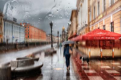 Дождь в Питере» картина Рипой Елены маслом на холсте — заказать на ArtNow.ru