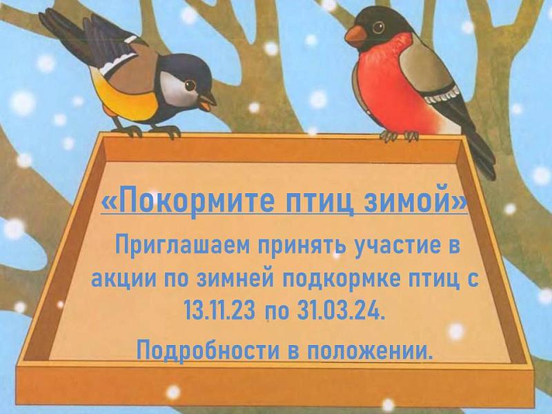 Акция «Покормите птиц зимой!» - частная школа Ступени
