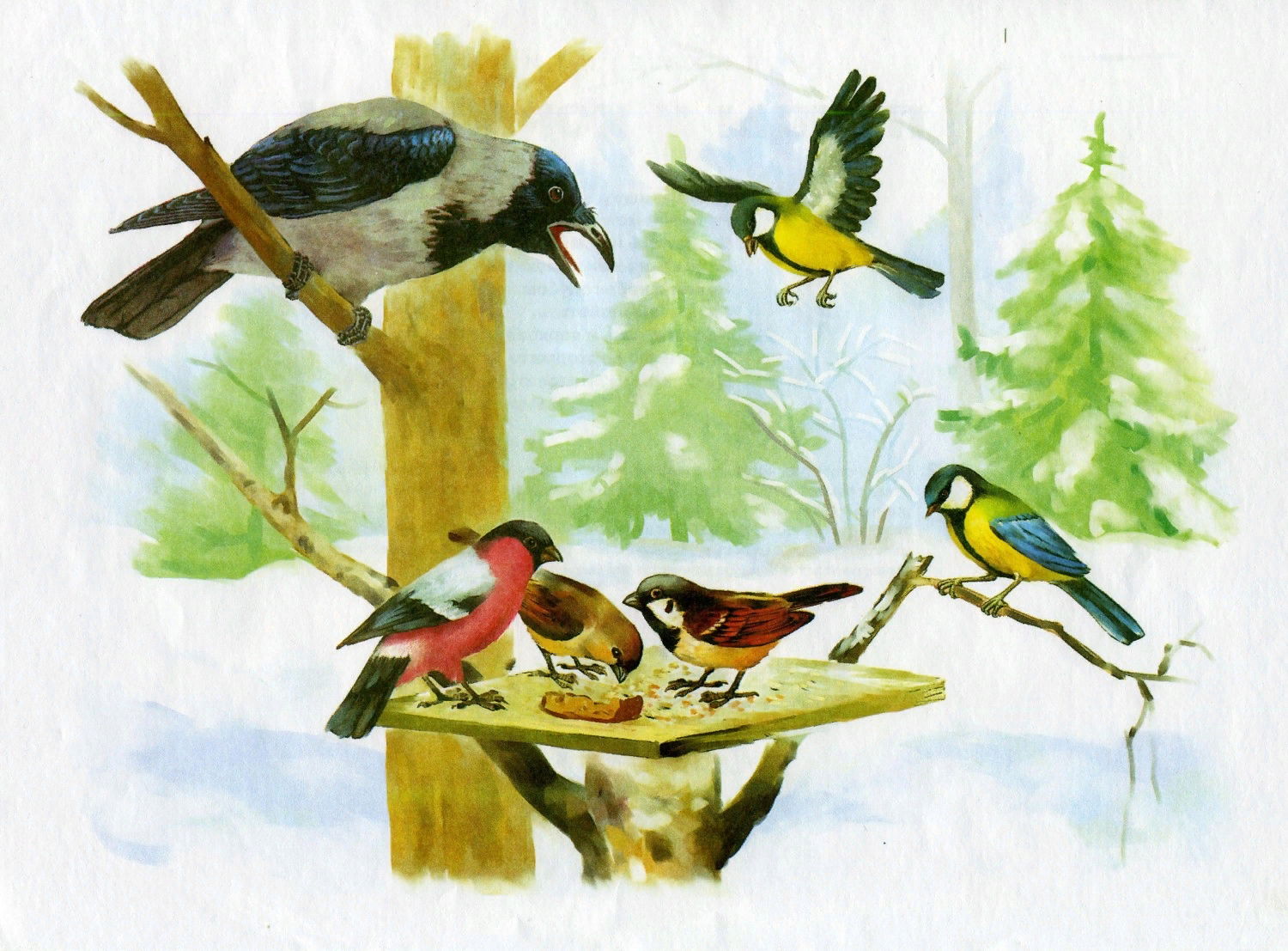 Покормите птиц зимой\"