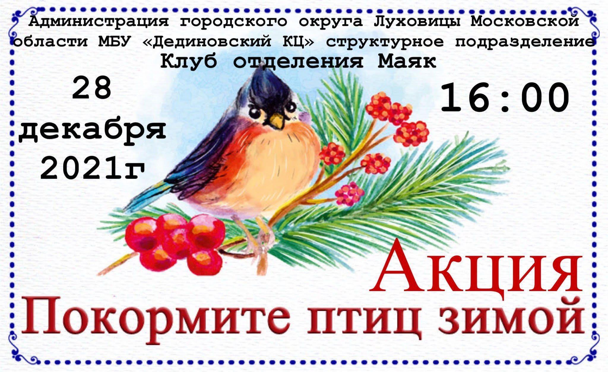 Покормите птиц зимой — Дополнительное образование детей Тамбовской области