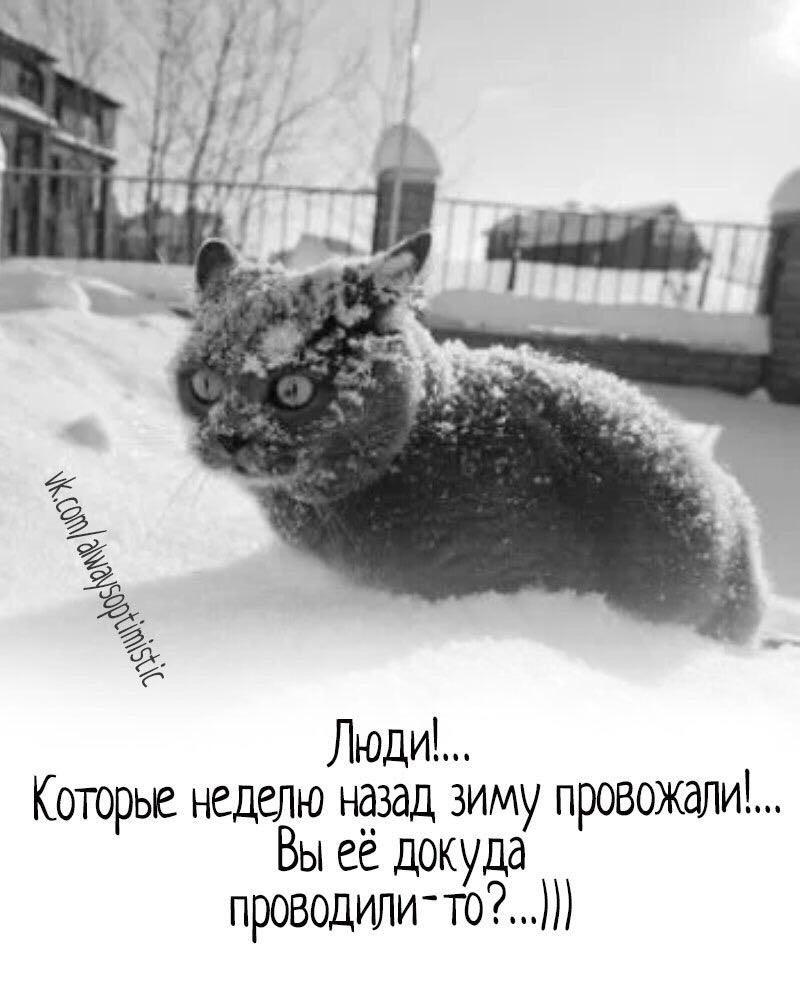 28 февраля — последний день зимы / Открытка дня / Журнал Calend.ru