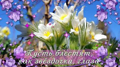 🌷🌷🌷 Поздравляем с первым днём весны! | Поздравления, пожелания, открытки  | ВКонтакте