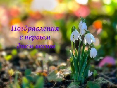 Поздравления с первым днём весны в стихах и прозе
