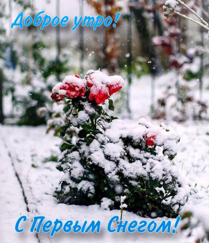 Первый день зимы: красивые открытки, поздравления и смс - «ФАКТИ»