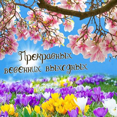 С прекрасным праздником весны! - Новости ОАО «БКМЗлит»