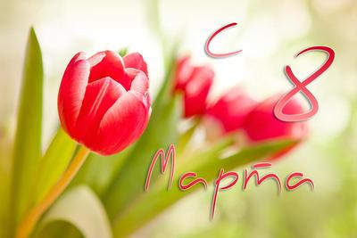 Милые дамы! В этот прекрасный весенний день от всего сердца поздравляем вас  с прекрасным праздником весны и красоты! – Филиал Дагестанского  Государственного Университета в г.Кизляре