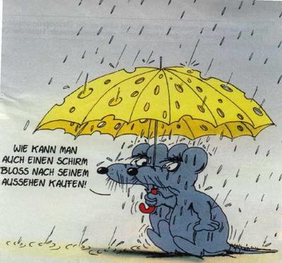Смешные картинки про дождь (50 картинок) 🤣 WebLinks