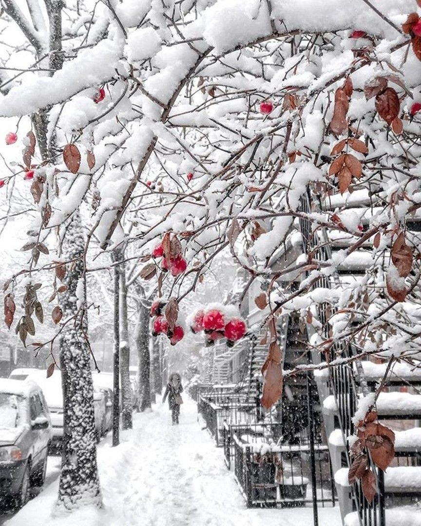 С первым днем зимы - красивые картинки (56 ФОТО)