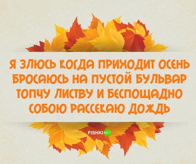 С первым днем осени: красивые и прикольные картинки для поздравления с 1  сентября - МК Новосибирск