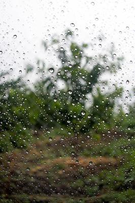 Дождь и природа: Фото в высоком разрешении | Дождя на стекле Фото №1362397  скачать