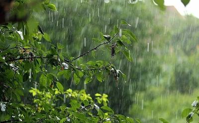 Скачать картинки Природа дождь, стоковые фото Природа дождь в хорошем  качестве | Depositphotos