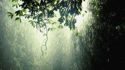 Природа эстетика дождь - 80 фото