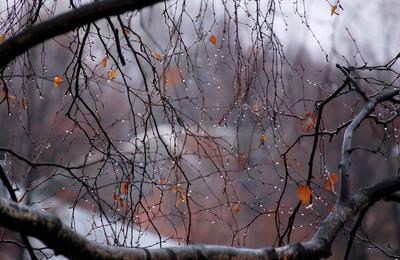 Шум дождя - летний пейзаж маслом художника Малыгина