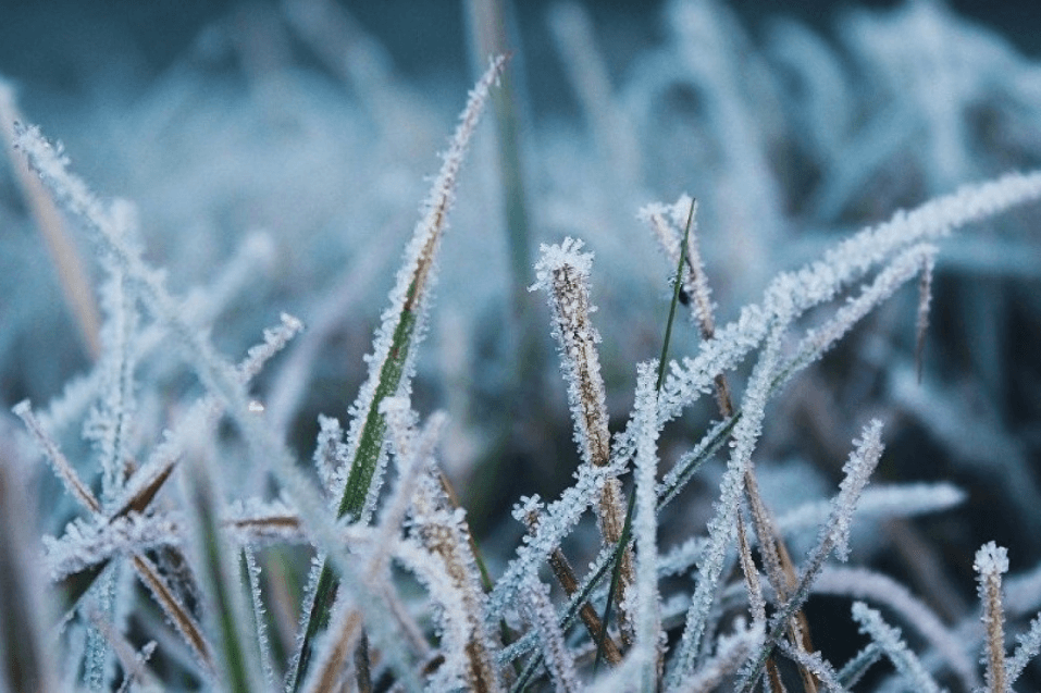 В этом году в Казахстане ожидается ранняя зима – Казгидромет