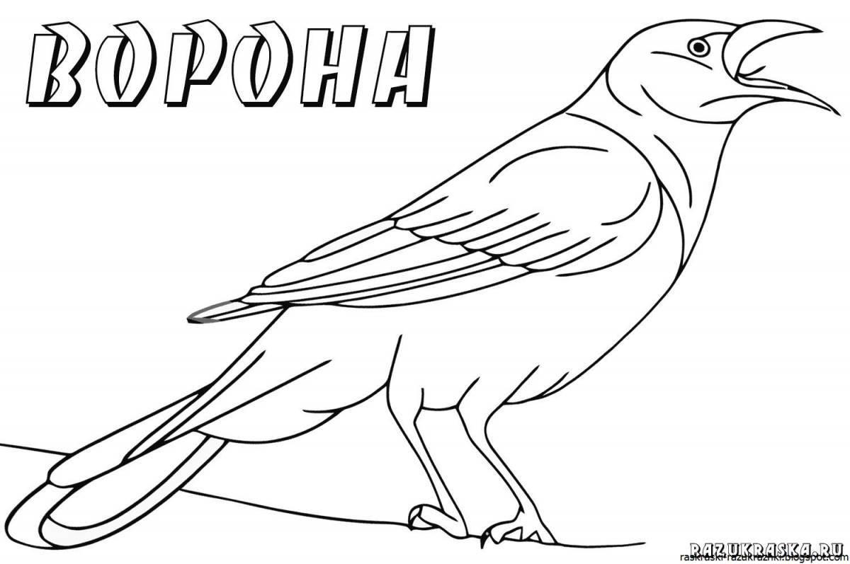 Зимующие птицы россии раскраска - 57 фото