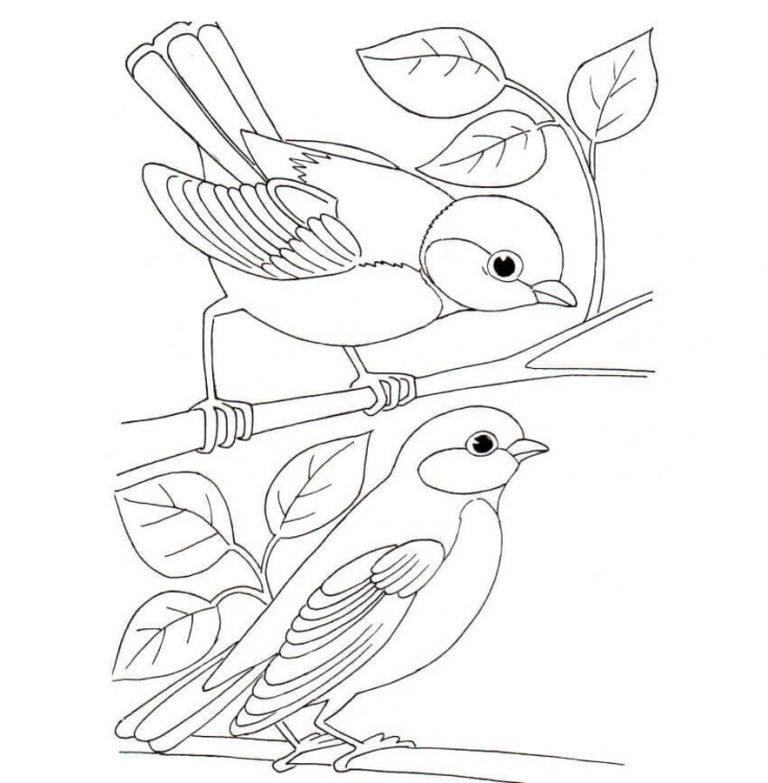 Раскраски зимующие птицы зимующих птиц