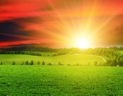 Картинка Солнце Природа Поля Небо Пейзаж рассвет и закат Трава
