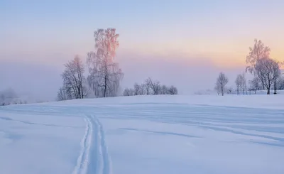 Зимний рассвет в формате WebP: Великолепие природы | Зима рассвет Фото  №788292 скачать