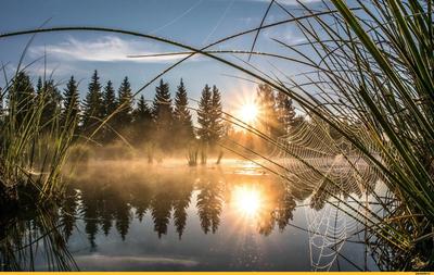 Бесплатное изображение: озеро, Рассвет, отражение, закат, пейзаж, вода,  берег озера