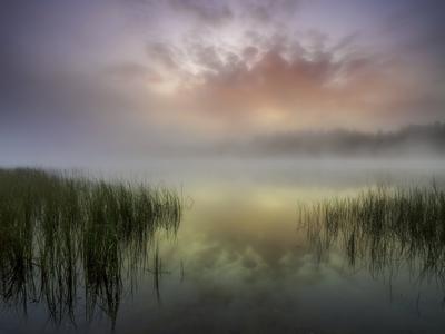 Утро на озере (58 фото) - 58 фото