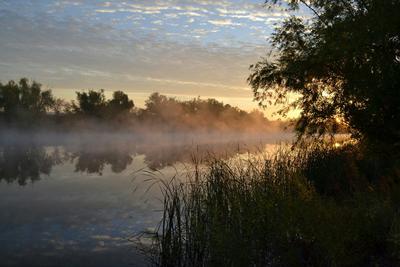 Фотокартина ”Весенний рассвет на реке” для интерьера, купить