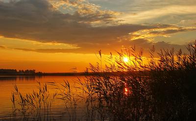 Река Рассвет Солнце - Бесплатное фото на Pixabay - Pixabay
