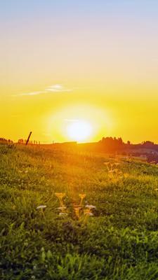 Живописный восход солнца, рассвет в прикарпатских горах, Украина утра  Стоковое Фото - изображение насчитывающей среда, весьма: 76739662