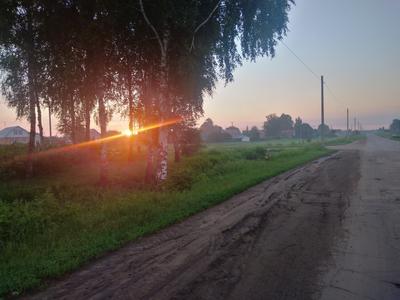 Летнее утро в деревне... | Пикабу