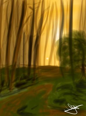 Рассвет в лесу - Елена Чернышева