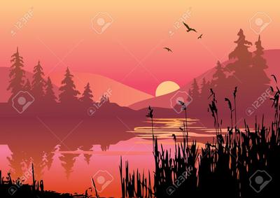 восход солнца в лесу рассвет в лесу ясно дикий лес лето панорама восход  солнца в лесу Фото Фон И картинка для бесплатной загрузки - Pngtree
