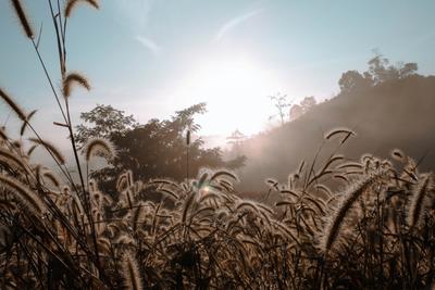 Рассвет в поле ромашек 🤍 | Instagram