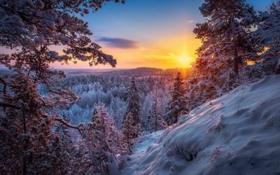 Зима рассвет (41 фото)