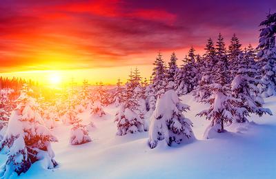 Фото Зимний рассвет, более 99 000 качественных бесплатных стоковых фото