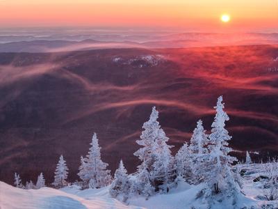 Рассвет. Зимний лес горы Колпаки, Пермский край | Пикабу