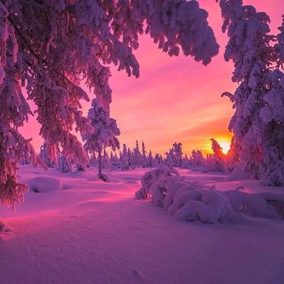 Розовое зимнее небо (41 фото) - 41 фото