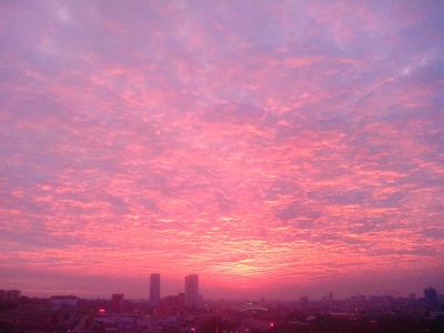Смотрите, какой розовый рассвет сегодня был над Москвой - Москвич Mag