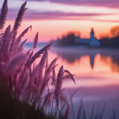 Прекрасен розовый рассвет :: Виктория Трунова – Социальная сеть ФотоКто