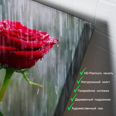 Обои на рабочий стол Красная роза лежит в воде под дождем, by Anna Savino,  обои для рабочего стола, скачать обои, обои бесплатно
