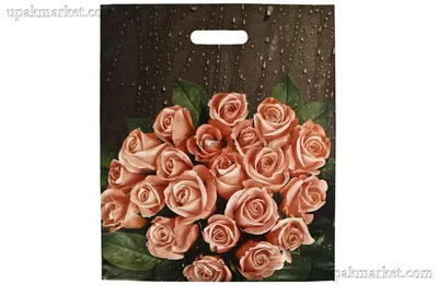 Галина Федосеева on X: \"В этом году розы невероятно красивы:на Южном Урале  они цветут уже третий раз. Выше меня ростом!После дождя они в хрустальном  бисере - загадочны и величавы. #розы #мойсад #диводивное #