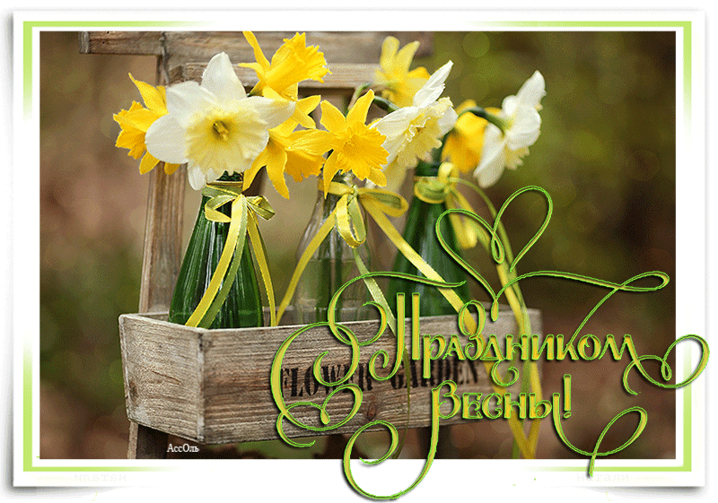 С Праздником Весны ! - Мир картинок анимаций ! | Daffodils, Garden,  Planting flowers