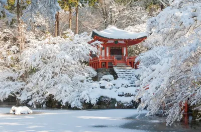 Зима в Питере, Японский садик | Пикабу