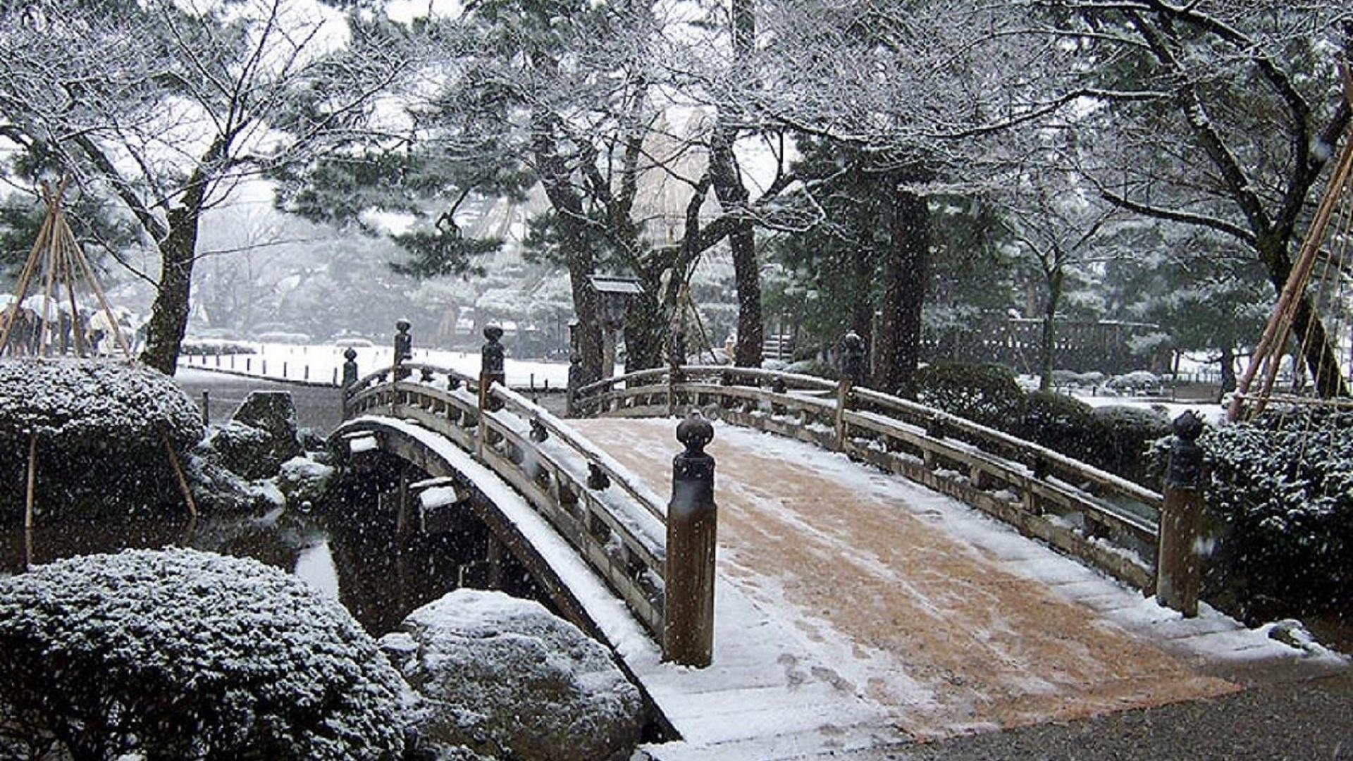 Зима в японском саду / Москва ,ботанический сад в этом саду есть отдельно  созданный японский садик где и было сделано это фото